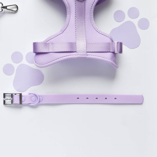 Cocopup London - NAKD Collar - Parma Violets