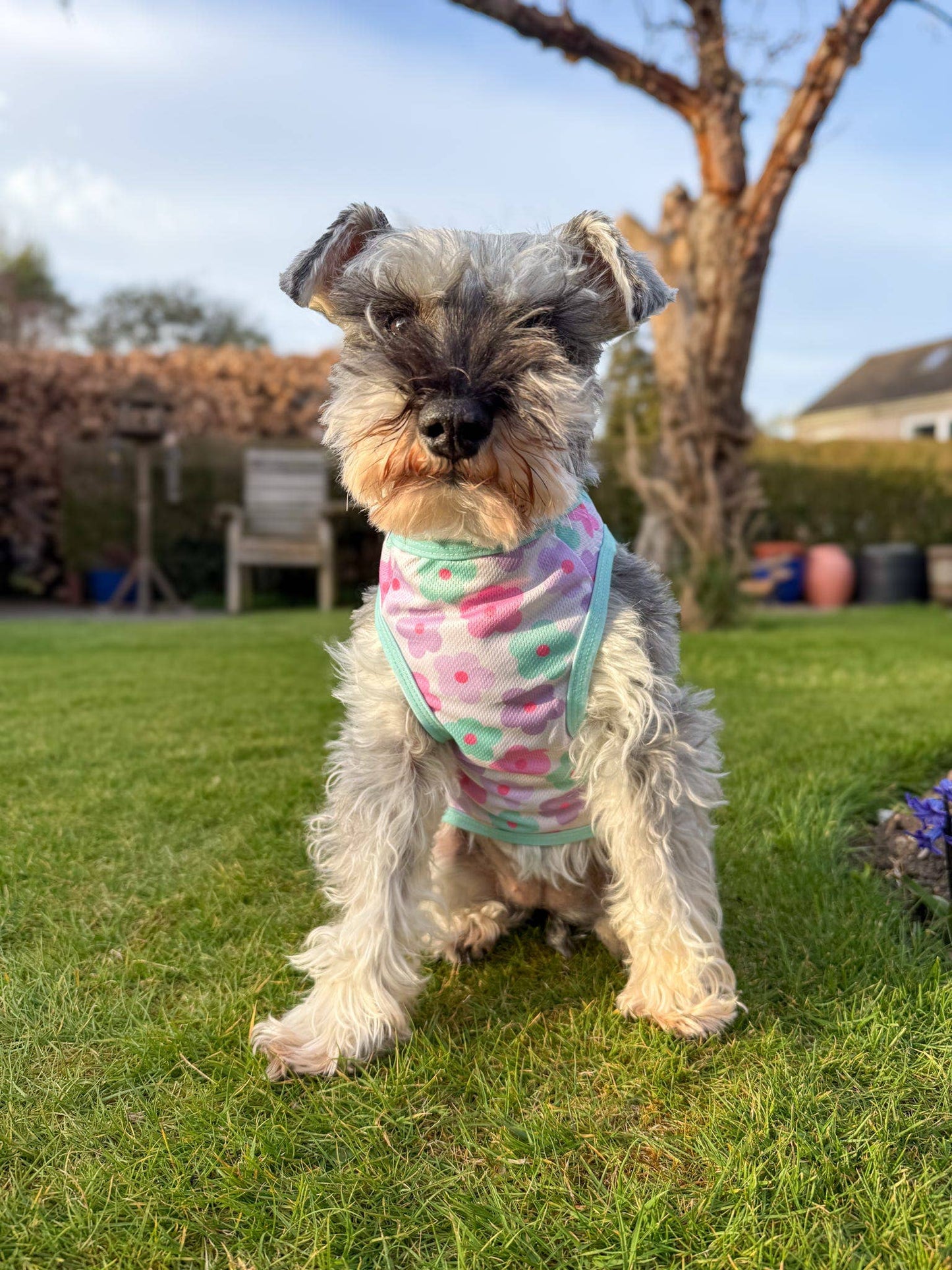 The Paw Print Boutique - The Minty Meadows / Flower Power Cooling Vest