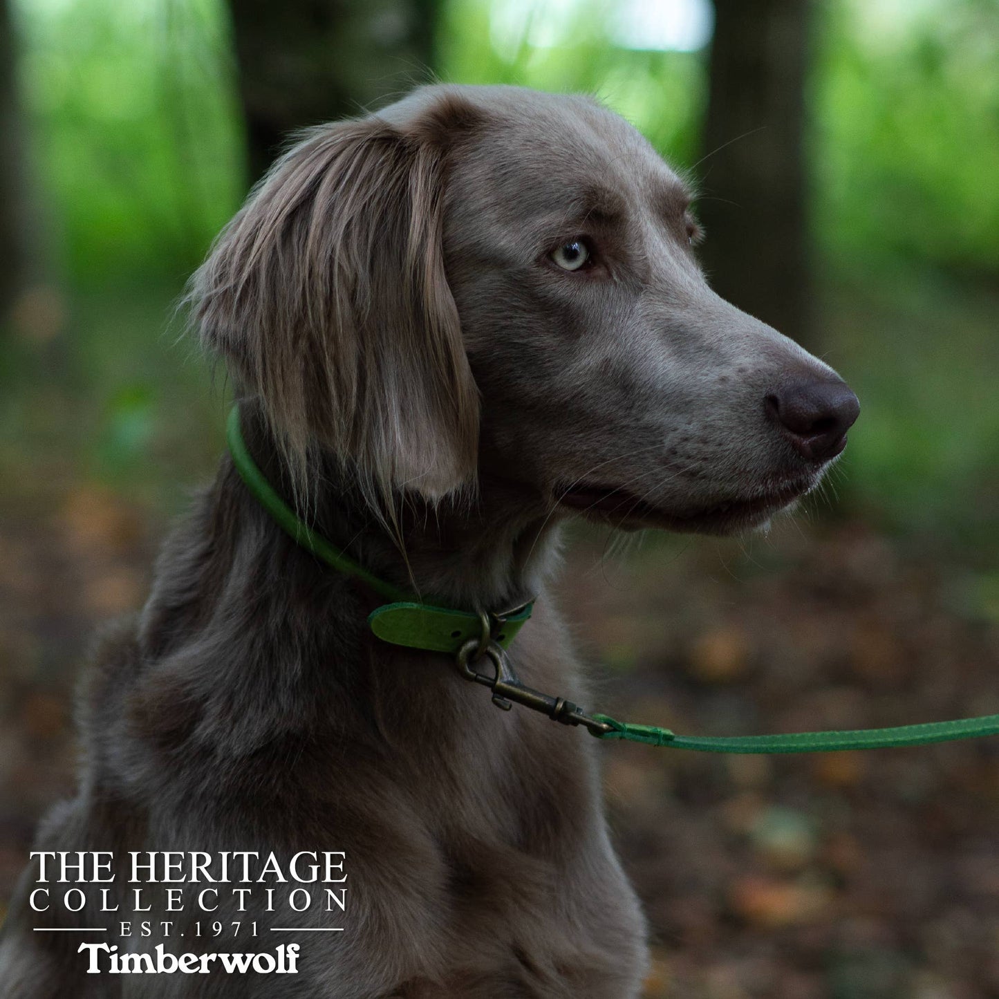 Ancol Pet Products Ltd - Timberwolf Round Collar