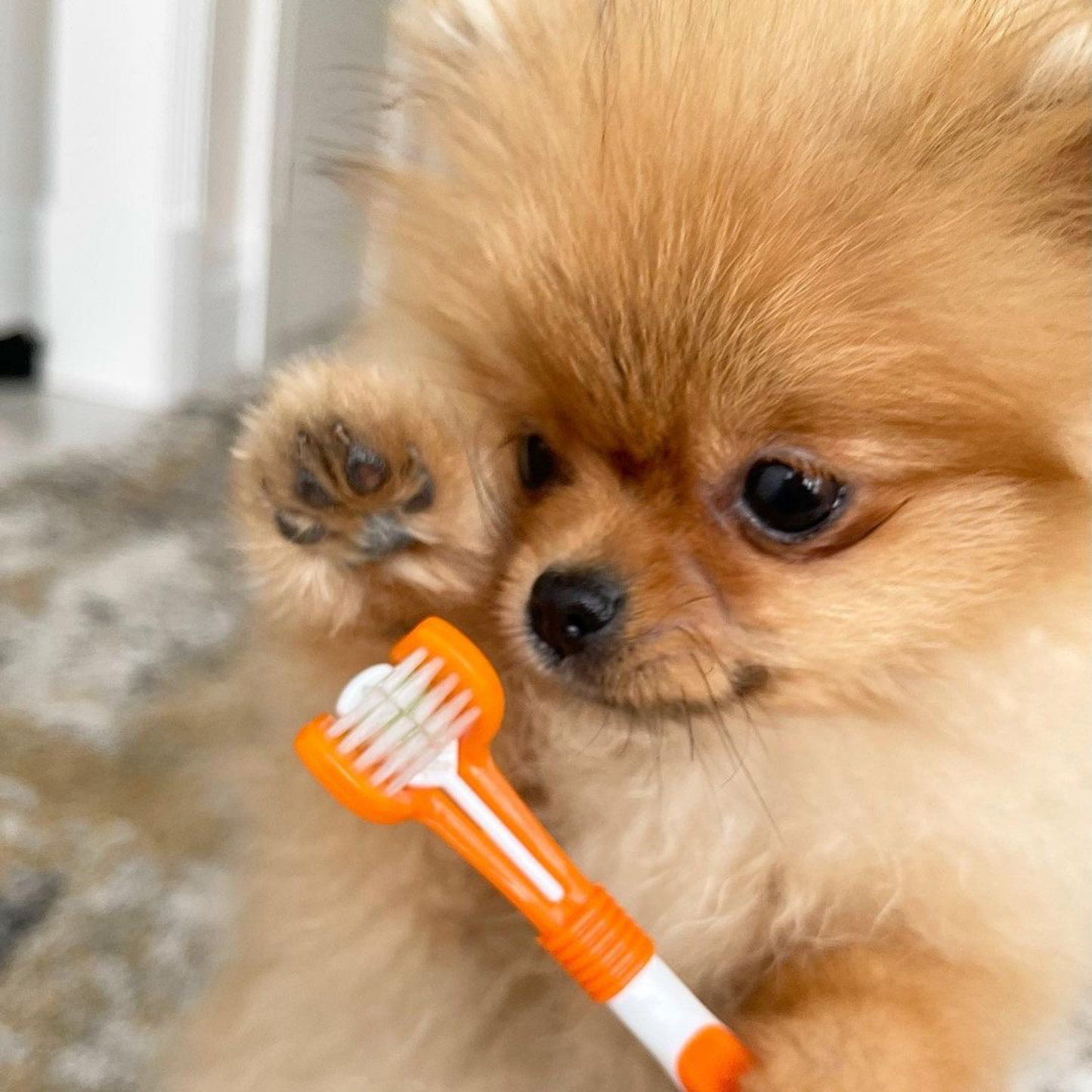 OurPetsLife - Dog Toothpaste and Toothbrush Set