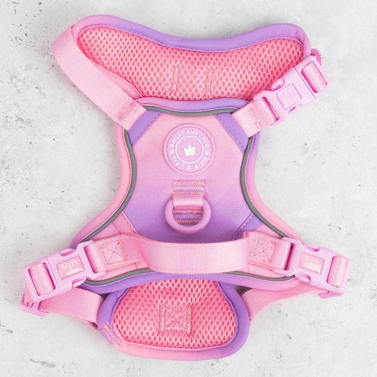 Bailey and Coco - Trail & Glow Dog Harness - COLOUR DROPS® - Love that for you