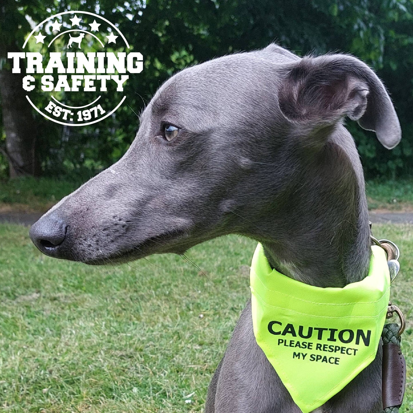 Ancol Pet Products Ltd - Warning Bandana