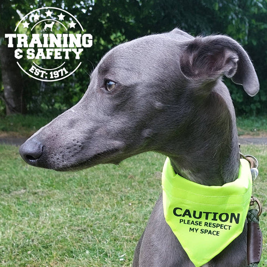 Ancol Pet Products Ltd - Warning Bandana