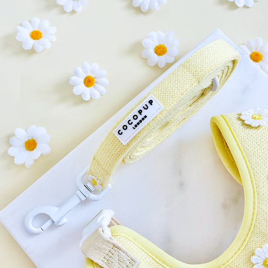 Cocopup London - Buttercup Pup Lead