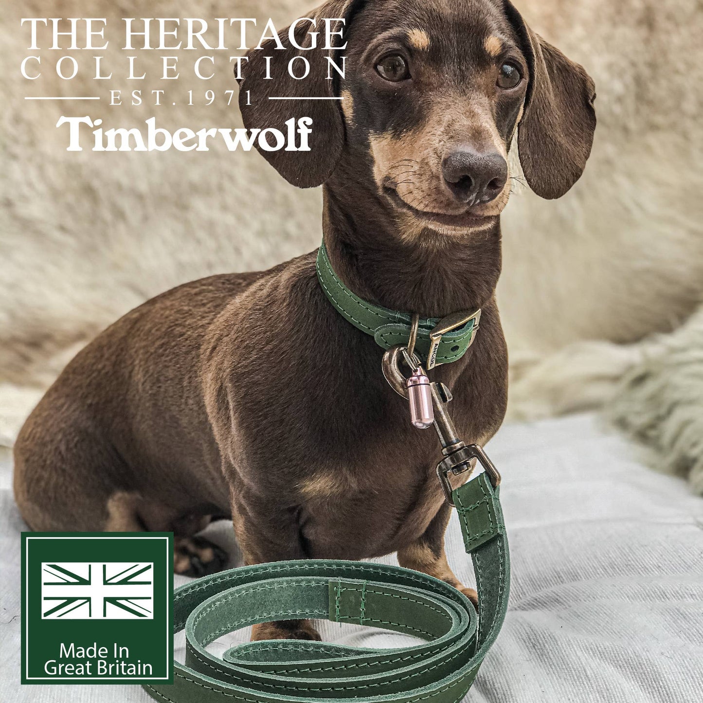 Ancol Pet Products Ltd - Timberwolf Leather Lead - various colours- 1m x 19mm