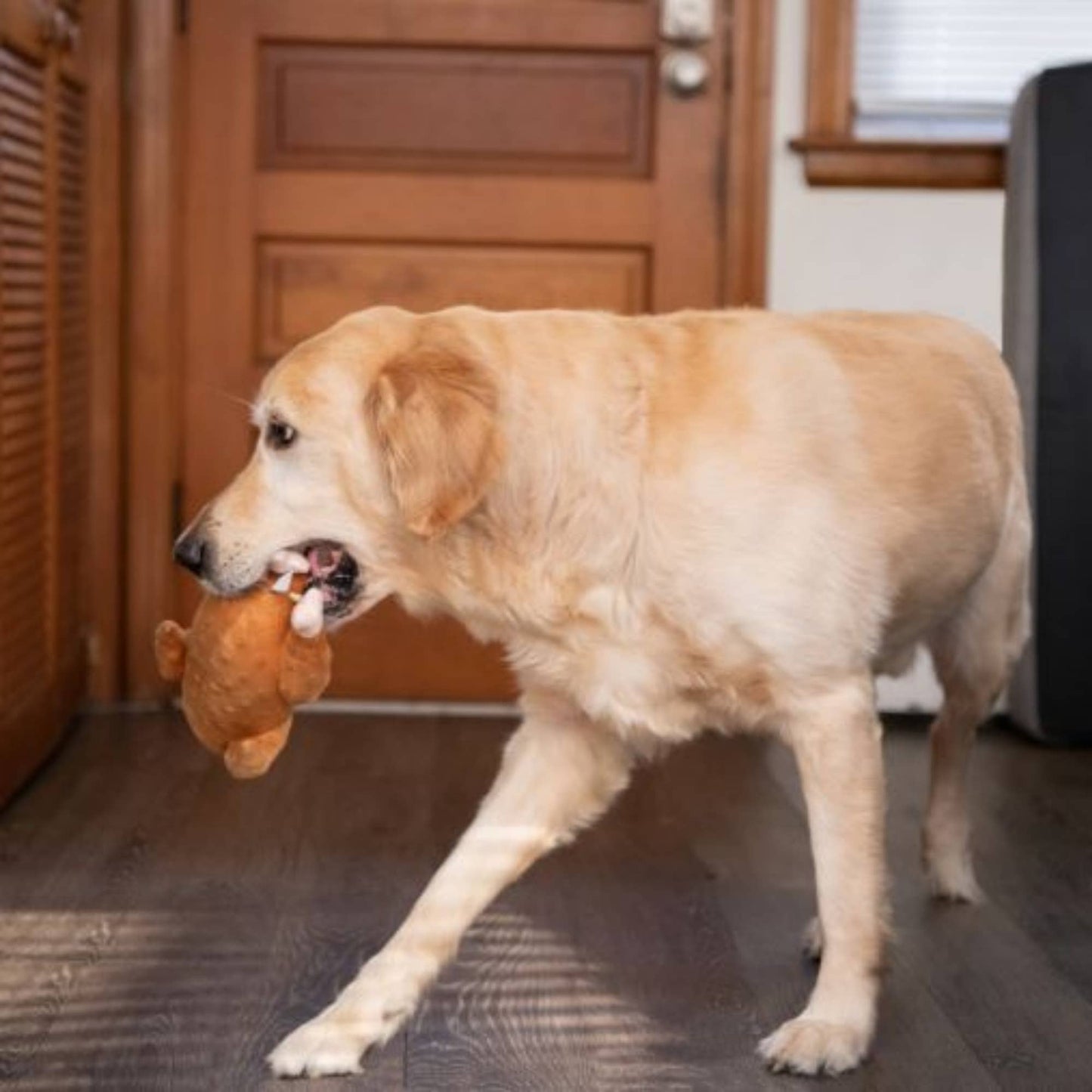 Midlee Designs - Midlee Roasted Thanksgiving Turkey Plush Dog Toy