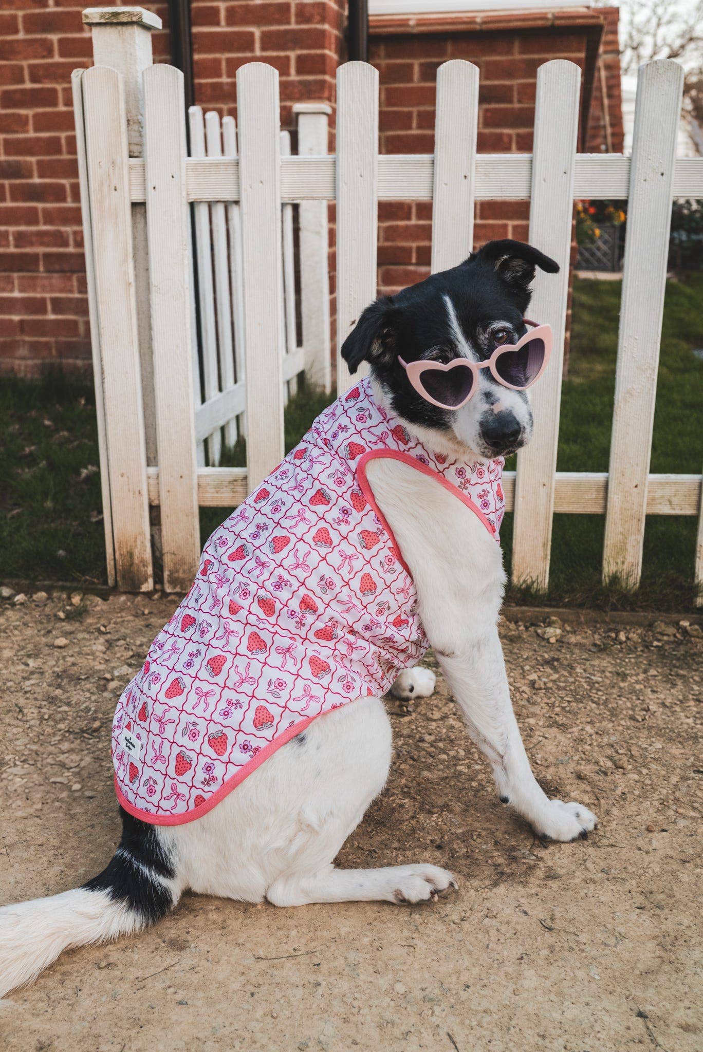 The Paw Print Boutique - The Bows & Berries Cooling Vest