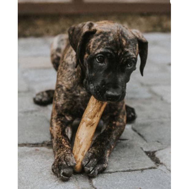 Miro & Makauri - Coffee wood dog chew - 3 sizes