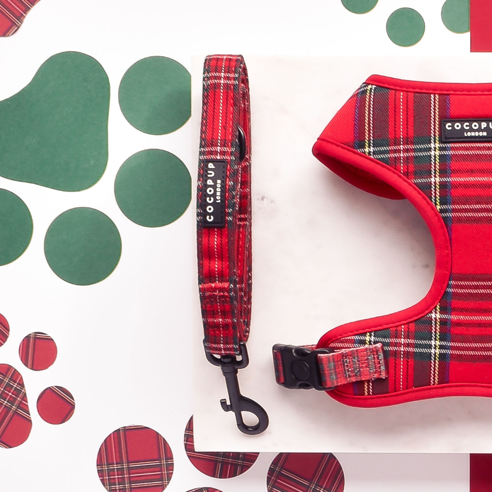 Cocopup London - Tartan Lead