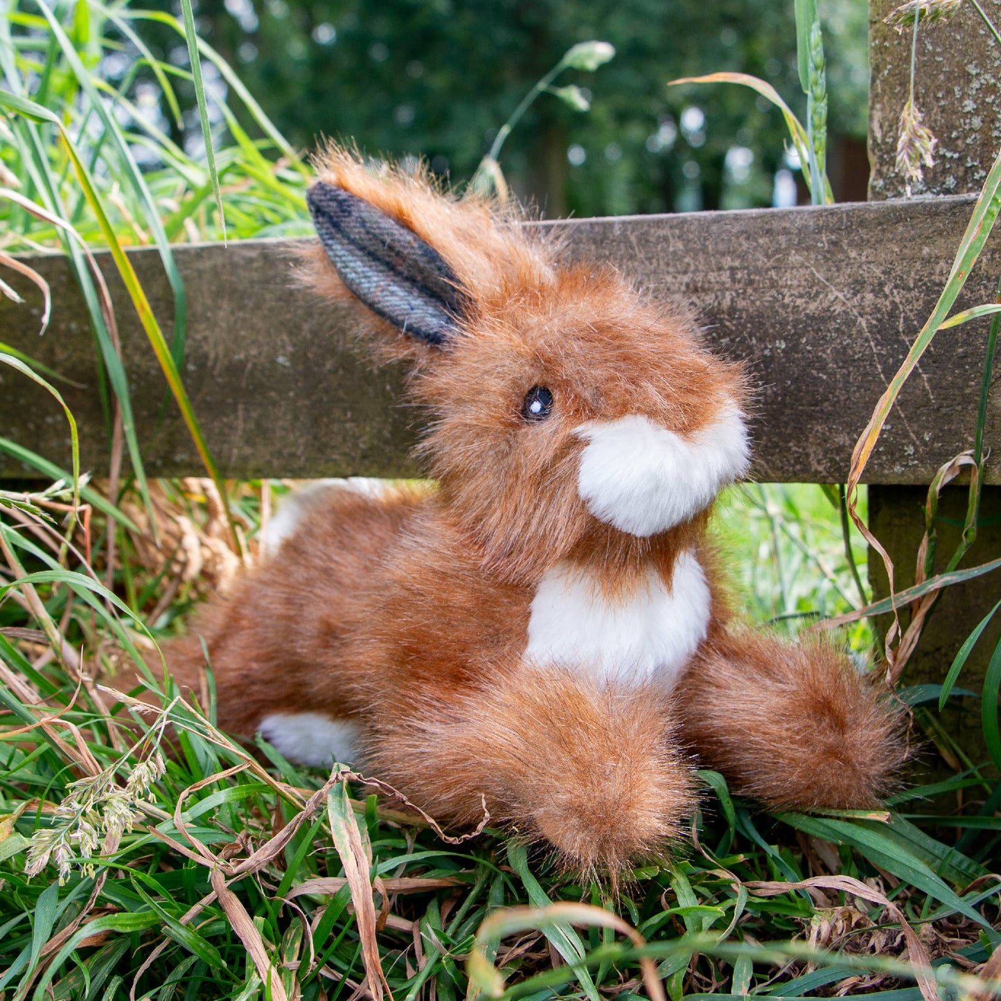 Ancol Pet Products Ltd -  Heritage Collection Hare Like Dog Toy