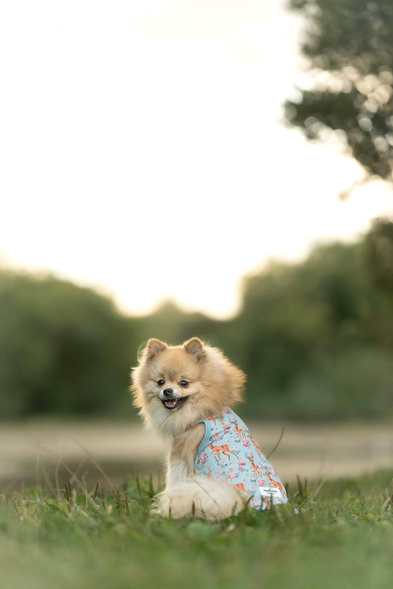 The Paw Print Boutique - Bambi in Bloom Cooling Vest