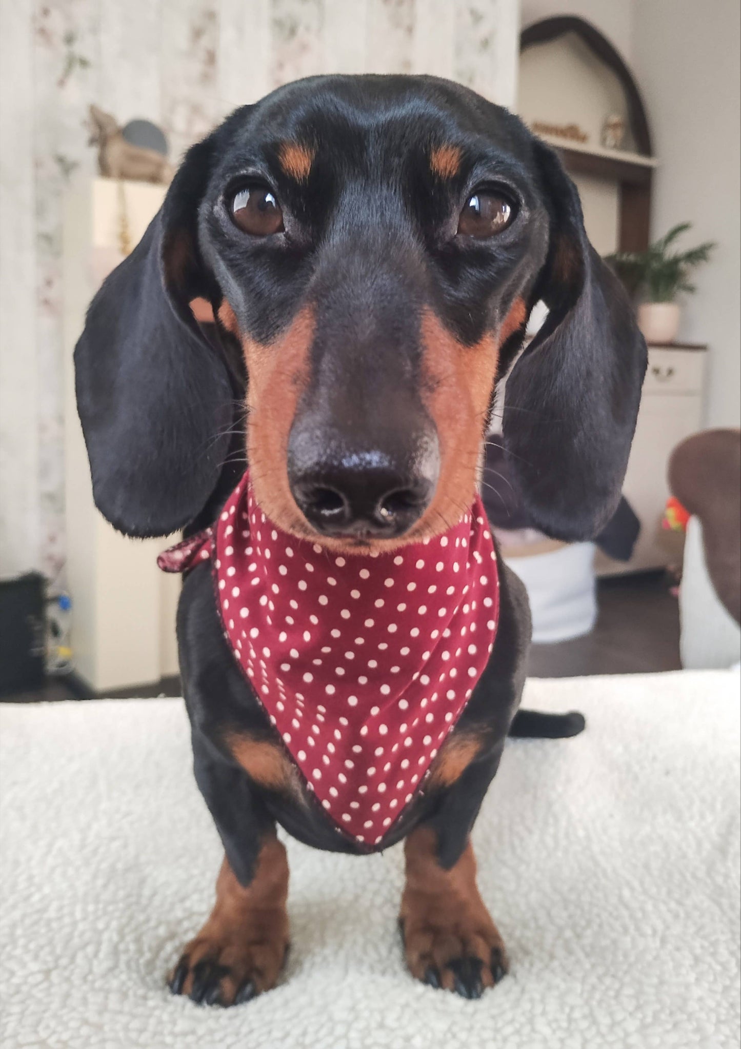 Pet Pooch Boutique - Olde English Red Polka Dot Dog Bandana (classic) - Handmade