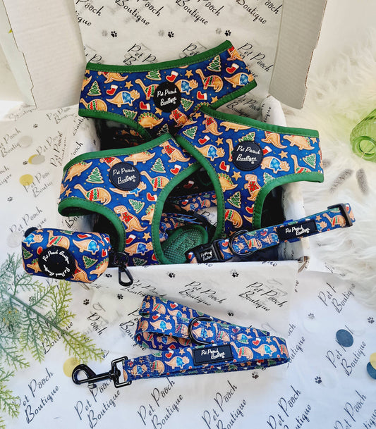 Pet Pooch Boutique - Christmas Dino Rawr Biscuits Dog Lead - Blue Dinosaur