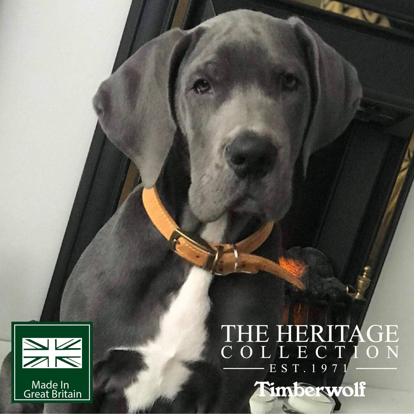 Ancol Pet Products Ltd - Timberwolf Leather Collar Mustard