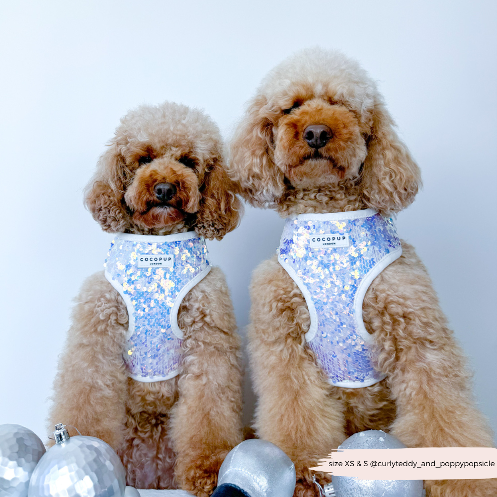 Cocopup London - LUXE Party Holographic Sequin HARNESS