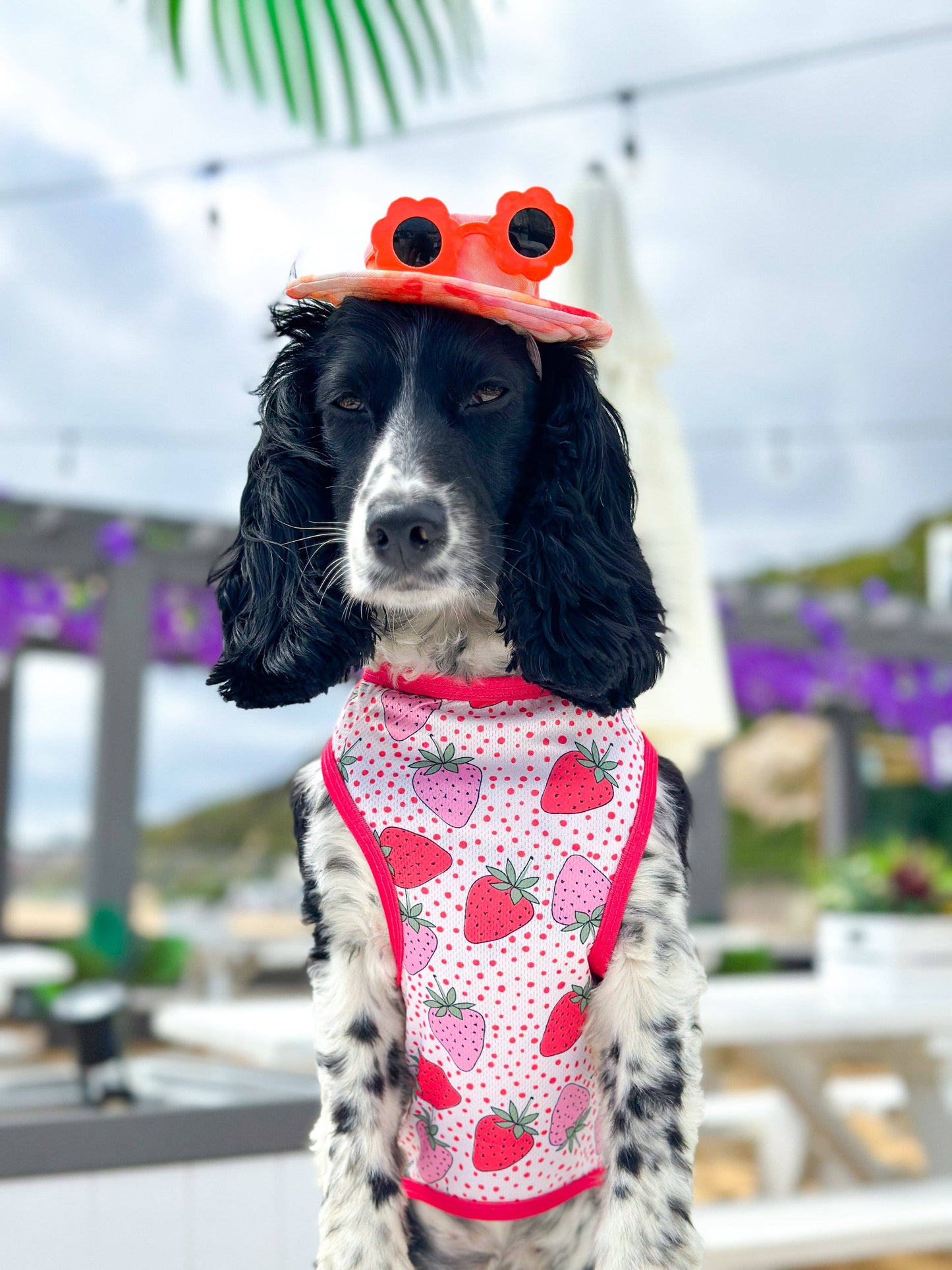The Paw Print Boutique - The Sweet Strawberries Cooling Vest