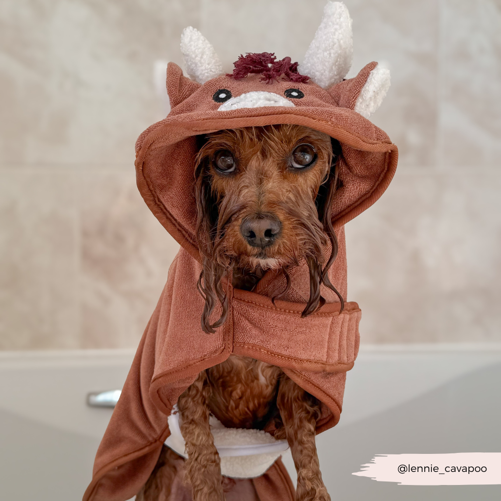 Cocopup London - Harold the Highland Cow Drying Robe