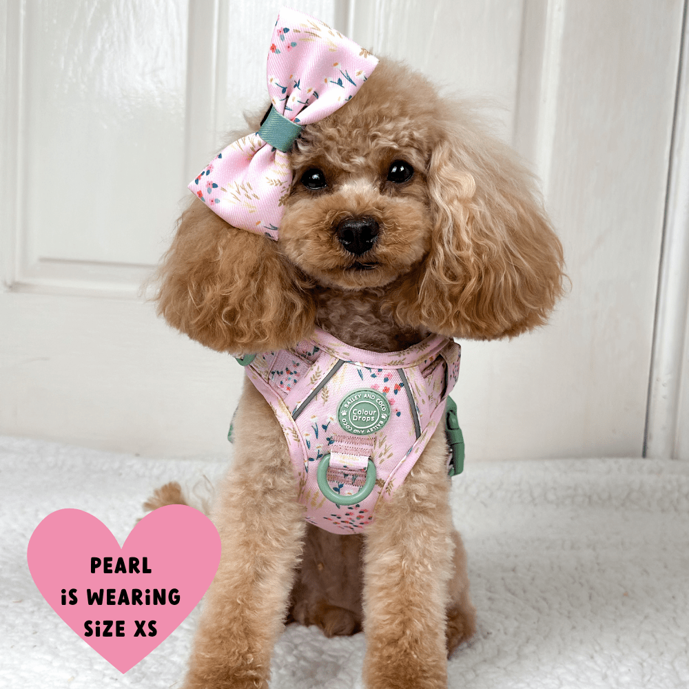 Bailey and Coco - Trail & Glow Dog Harness - COLOUR DROPS® - Pick Me