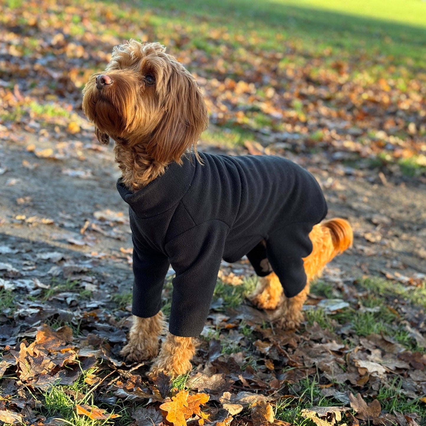 Pet Wiz - Four Legged Dog Fleeces - Wide Range of Sizes & Colours