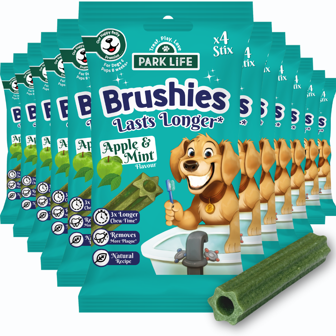 PARK LiFE - PARK LiFE Brushies Apple & Mint Flavour 80g