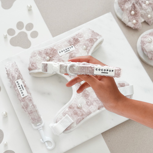 Cocopup London - Pearly Pup COLLAR