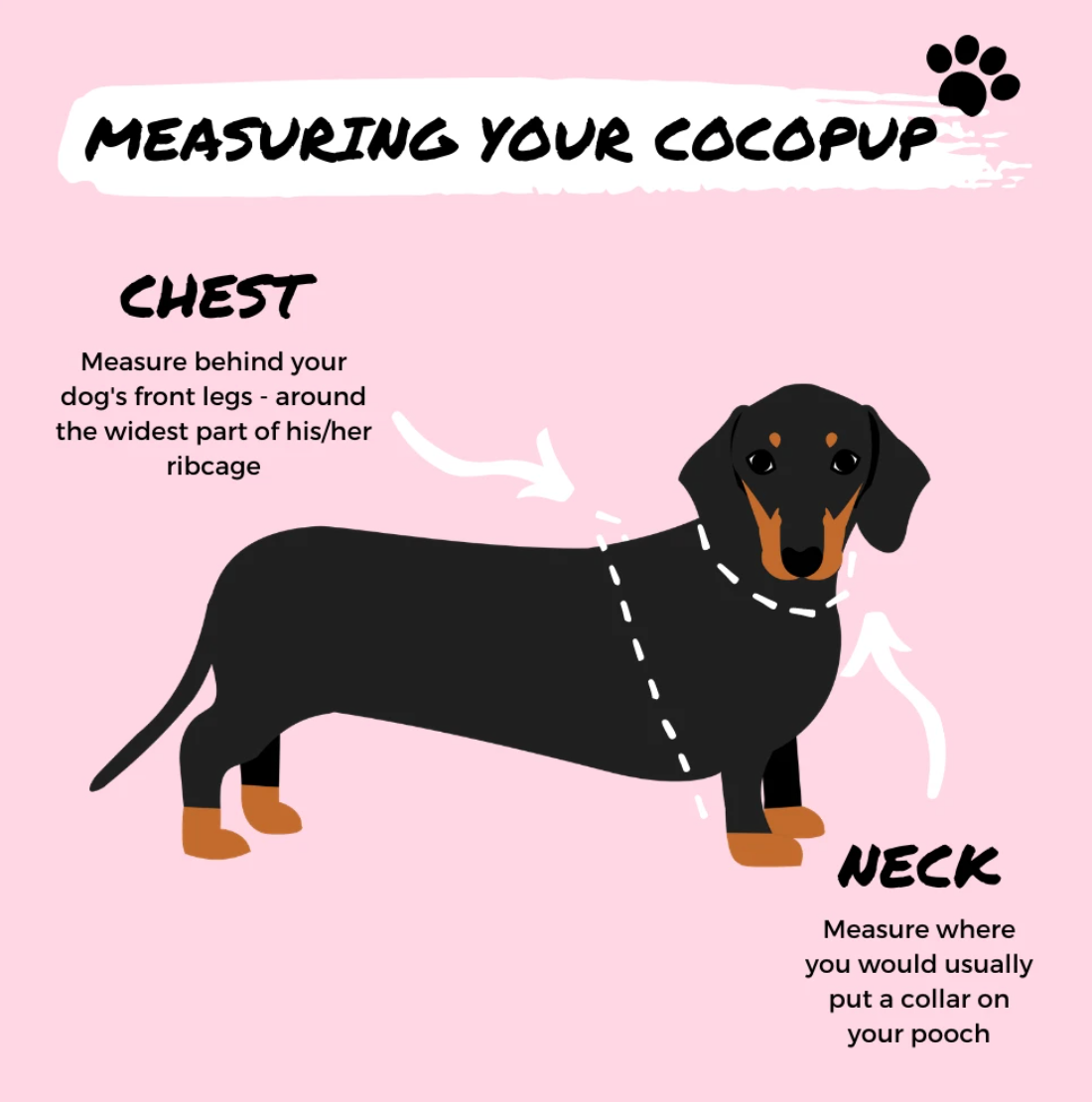 Cocopup London - Sunflower Patch Adjustable Neck Harness