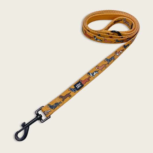 The aDoraBle Pooch Company - Dog Lead - Dashing Dachshunds