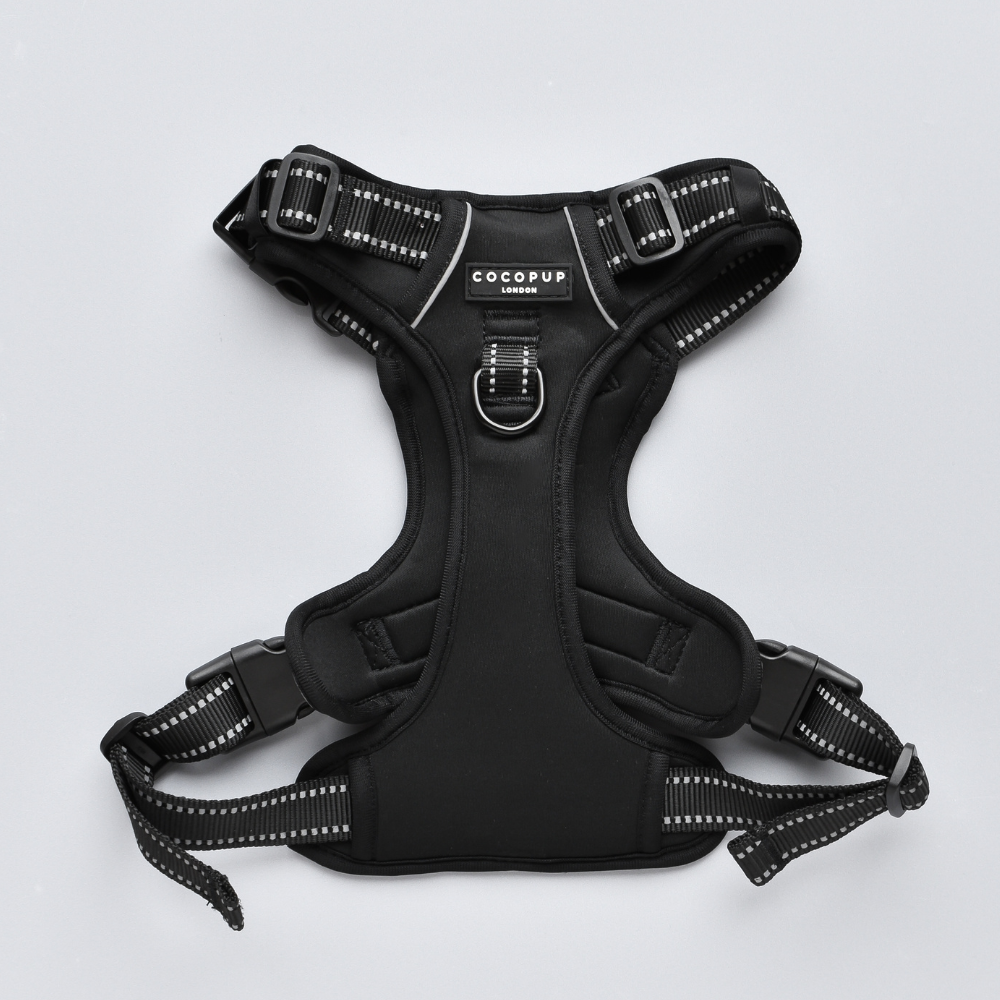 Cocopup London - Explore Harness - NAKD Liquorice
