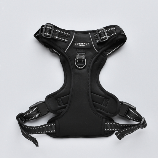 Cocopup London - Explore Harness - NAKD Liquorice