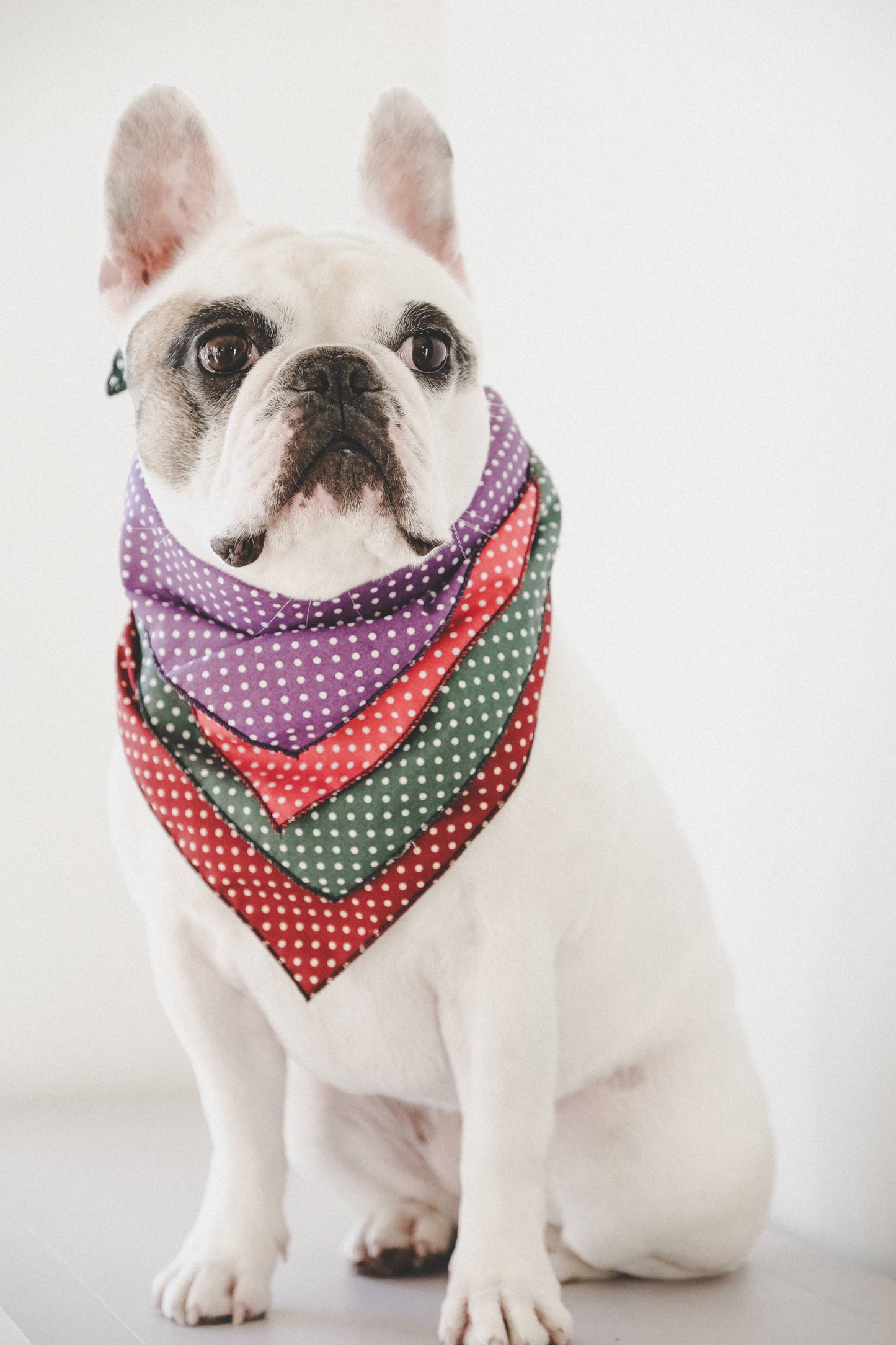 Pet Pooch Boutique - Antique Green Polka Dot Dog Bandana (classic) - Handmade