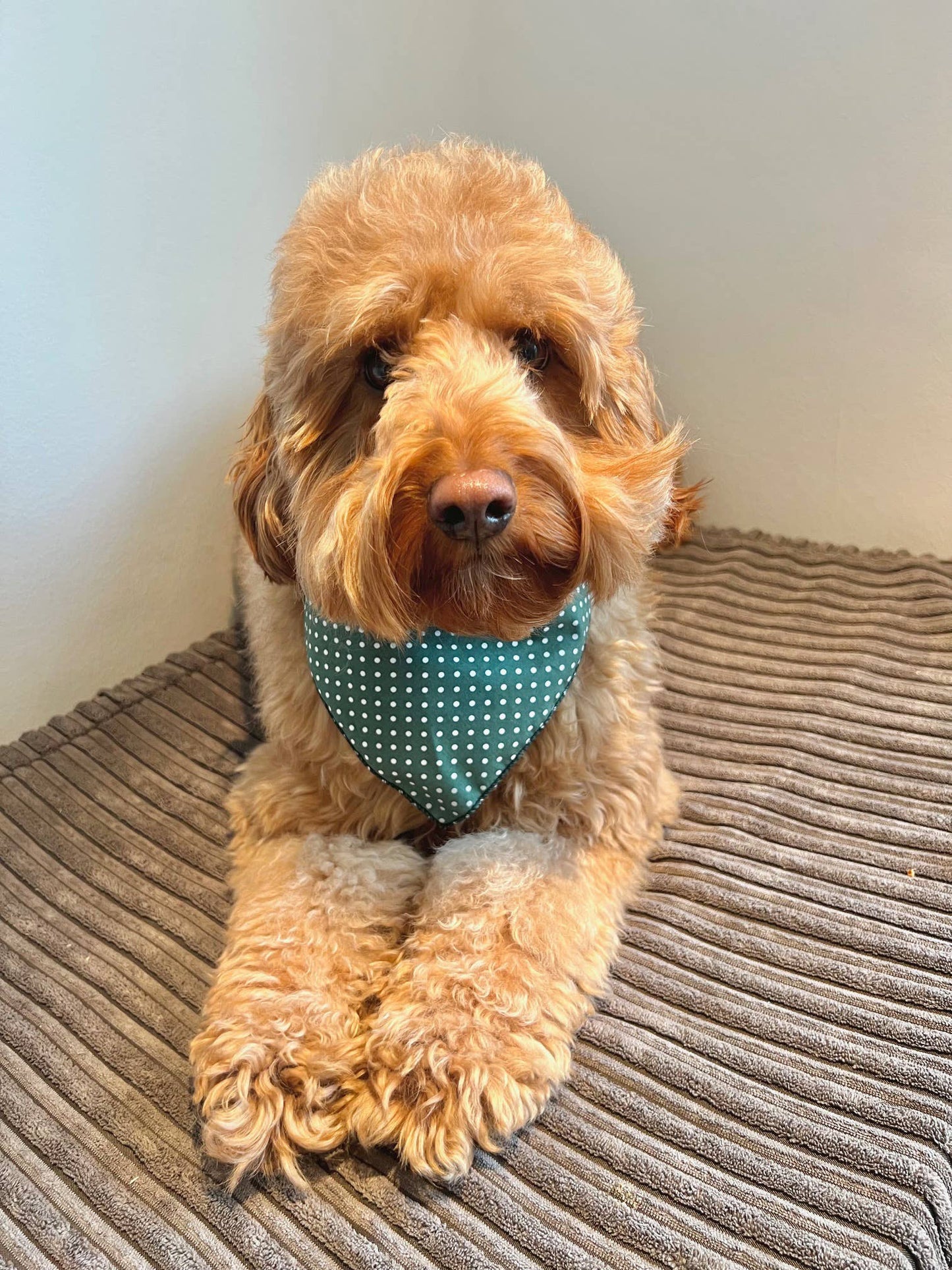 Pet Pooch Boutique - Antique Green Polka Dot Dog Bandana (classic) - Handmade