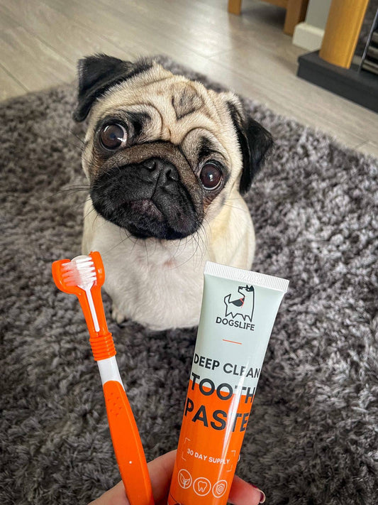 OurPetsLife - Dog Toothpaste and Toothbrush Set