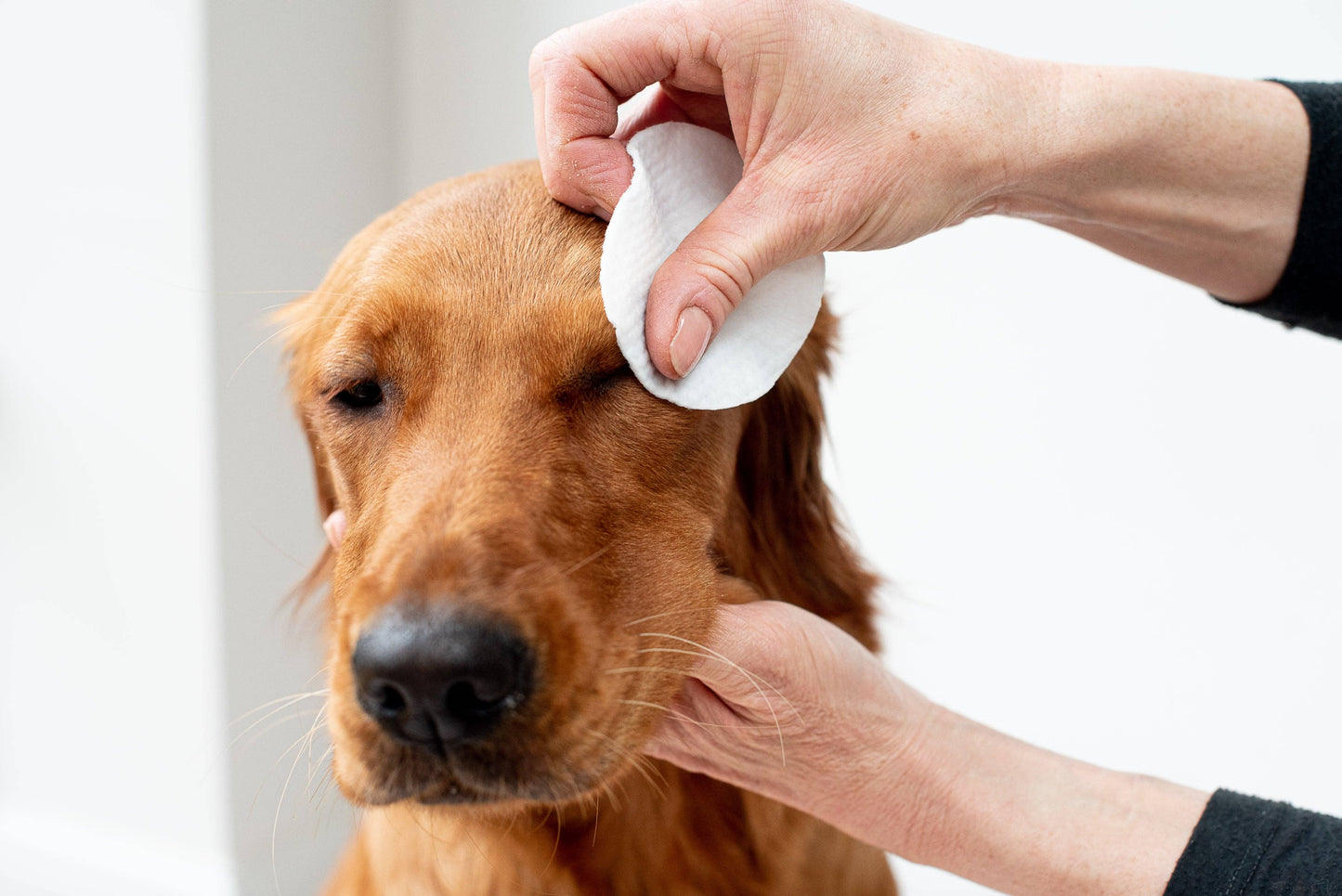 Pet Wiz - Aloe Vera Eye Wipes