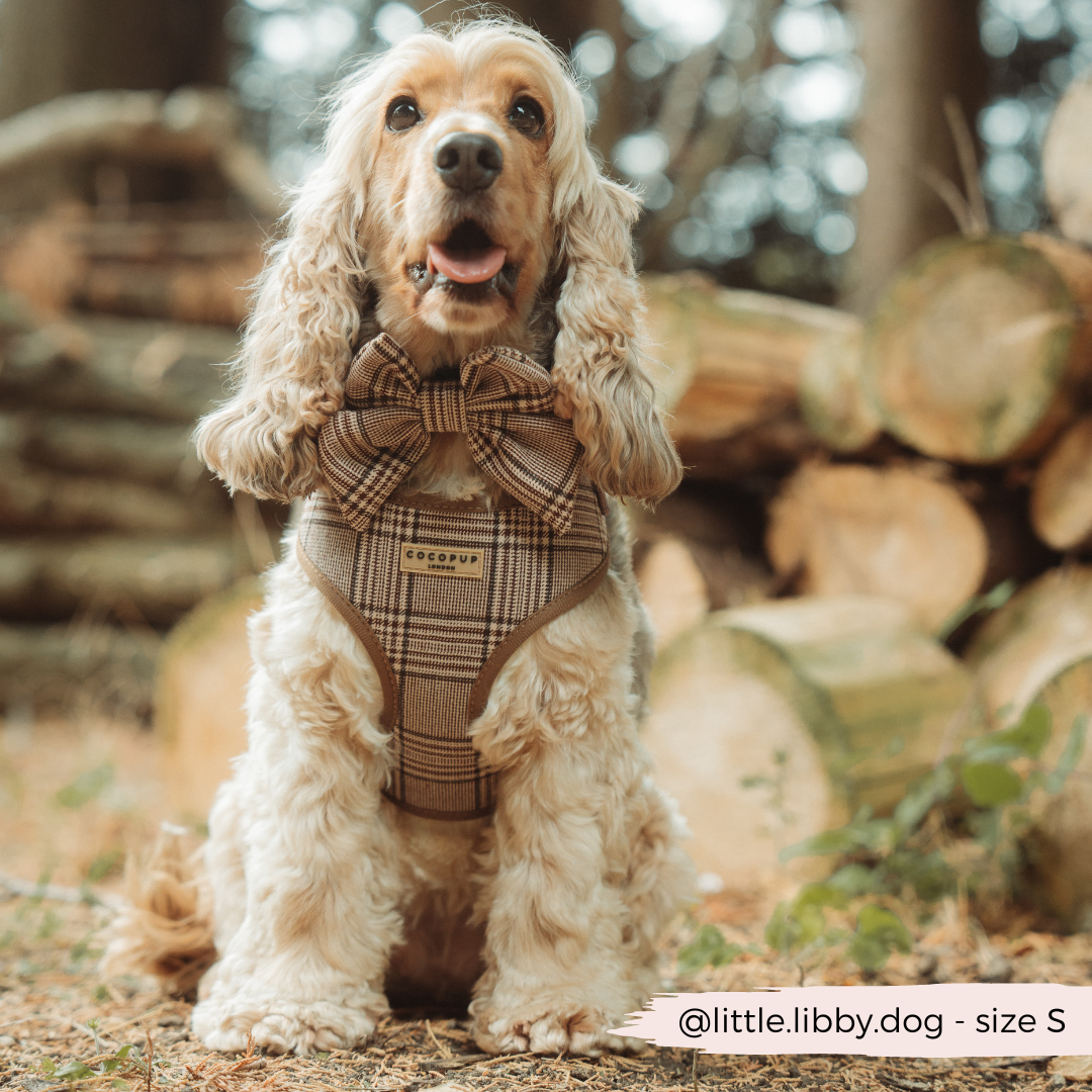 Cocopup London - Pup Plaid Adjustable Neck Harness