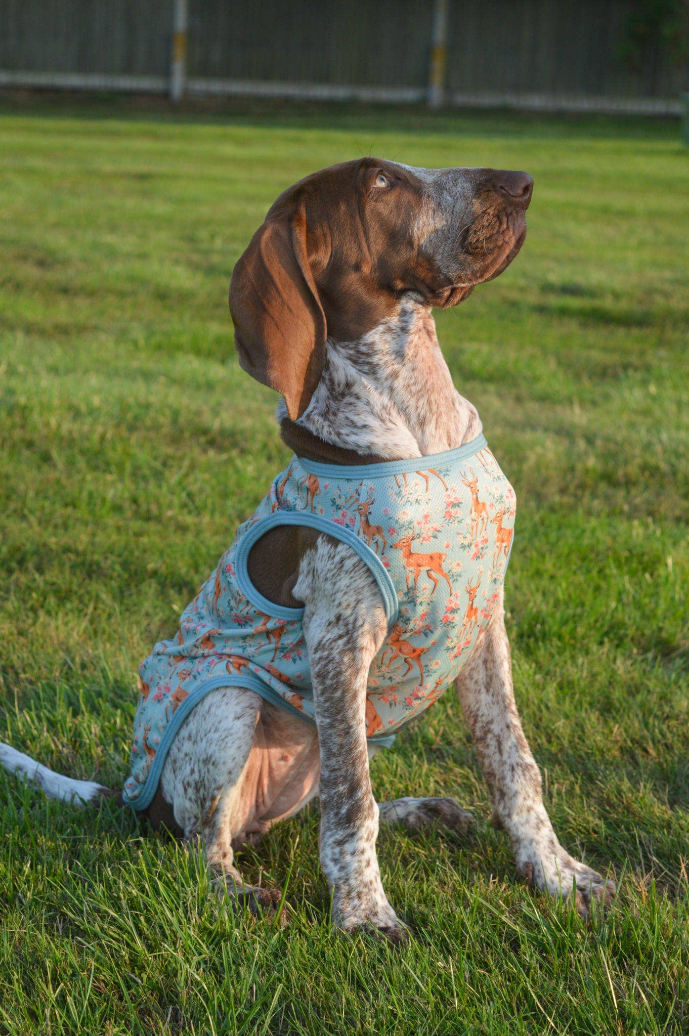 The Paw Print Boutique - Bambi in Bloom Cooling Vest