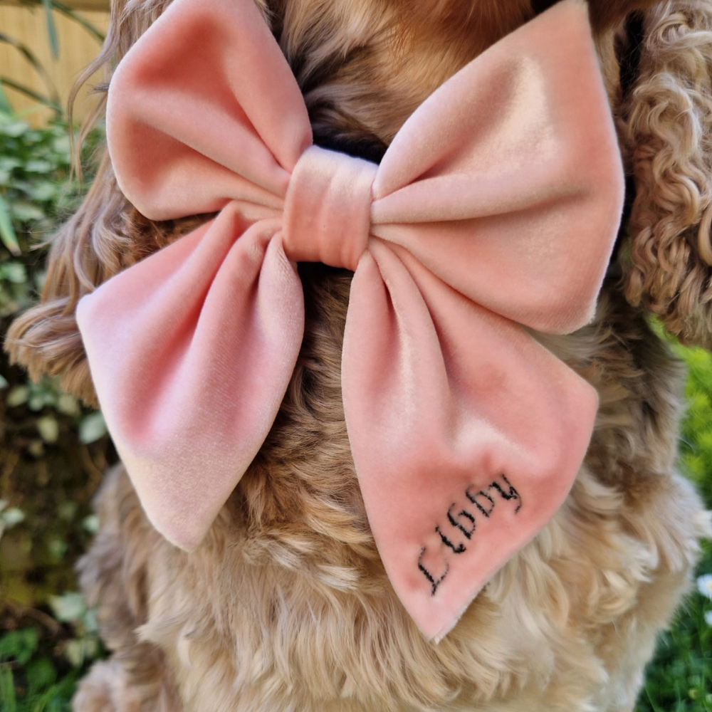 Cocopup London - Luxe Velvet Sailor Bow Tie - Baby Pink