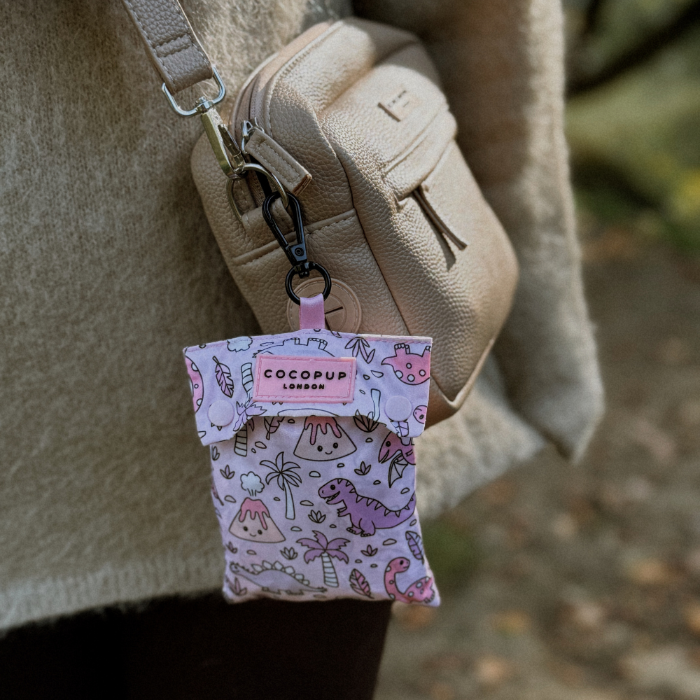 Cocopup London - Dog Raincoat - Princess Dino