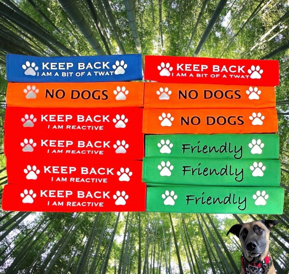 Storms Style - Lead Slips - Reactive, Nervous, Blind, Deaf, Friendly