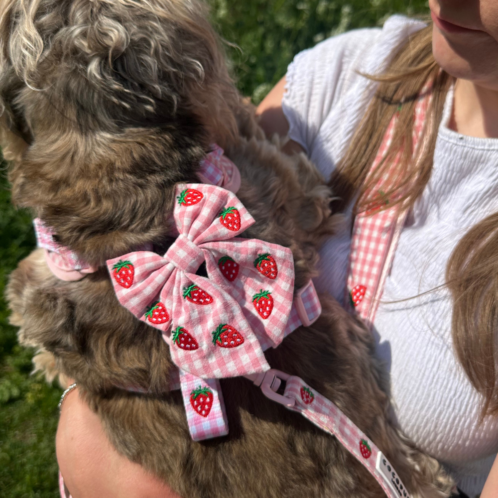Cocopup London - Strawberry Picnic Pup Sailor Bow Tie