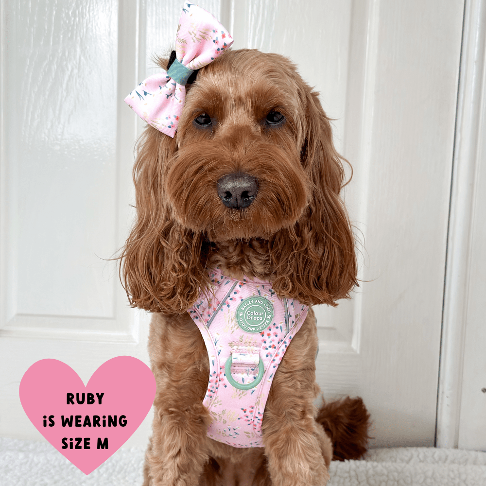 Bailey and Coco - Trail & Glow Dog Harness - COLOUR DROPS® - Pick Me