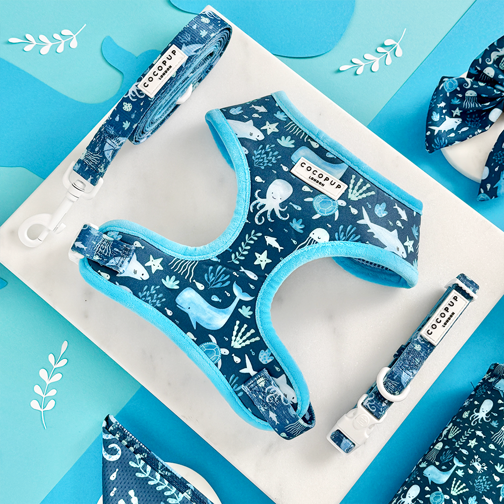 Cocopup London - Sea Life Pawty COLLAR