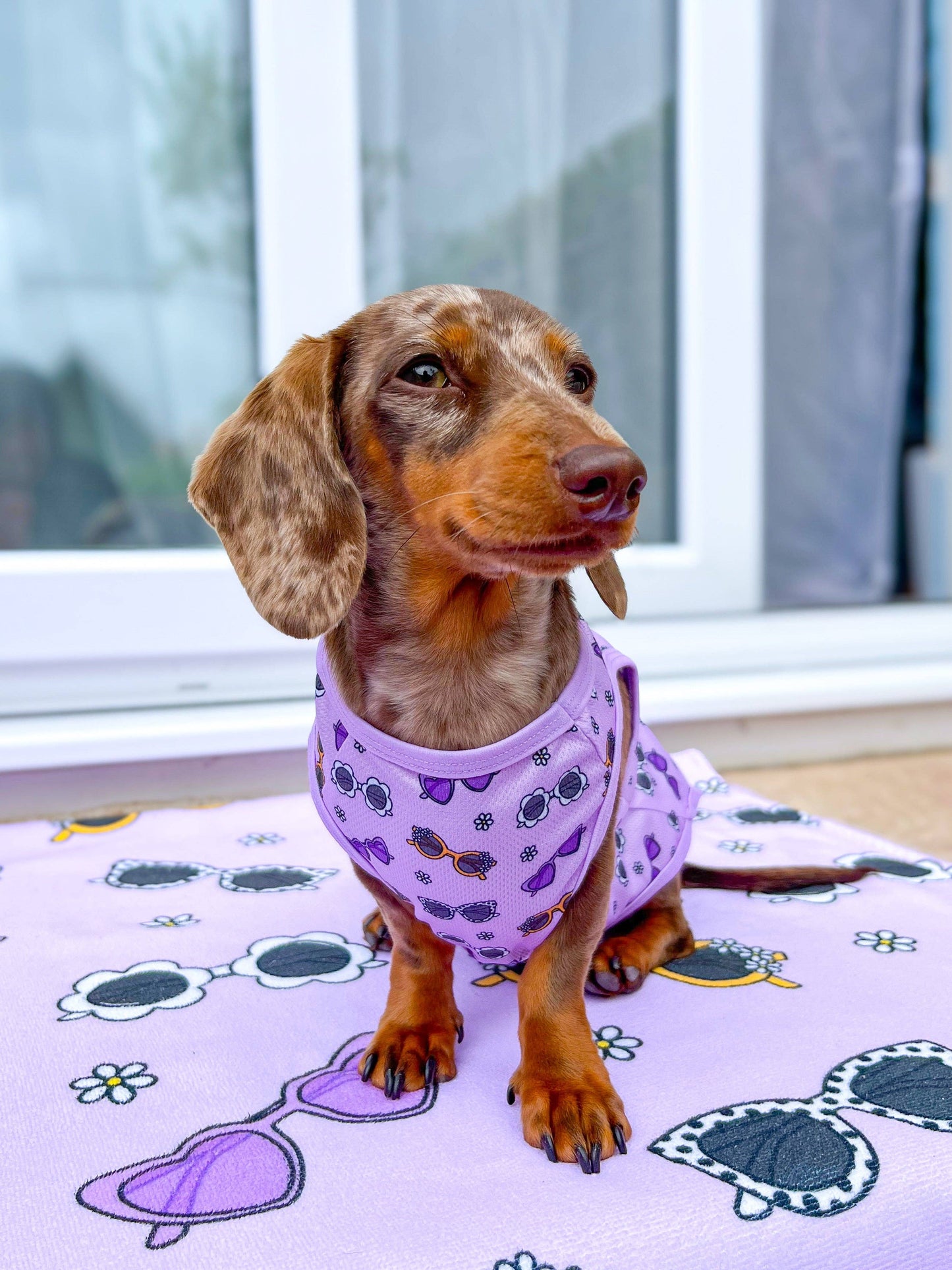 The Paw Print Boutique - The Sassy Sunnies Cooling Vest
