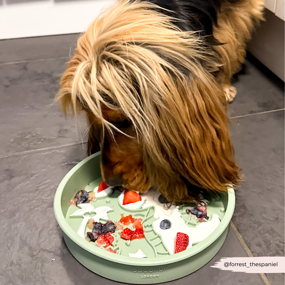 Cocopup London - Silicone Slow Feed Dog Bowl - Dinopaws