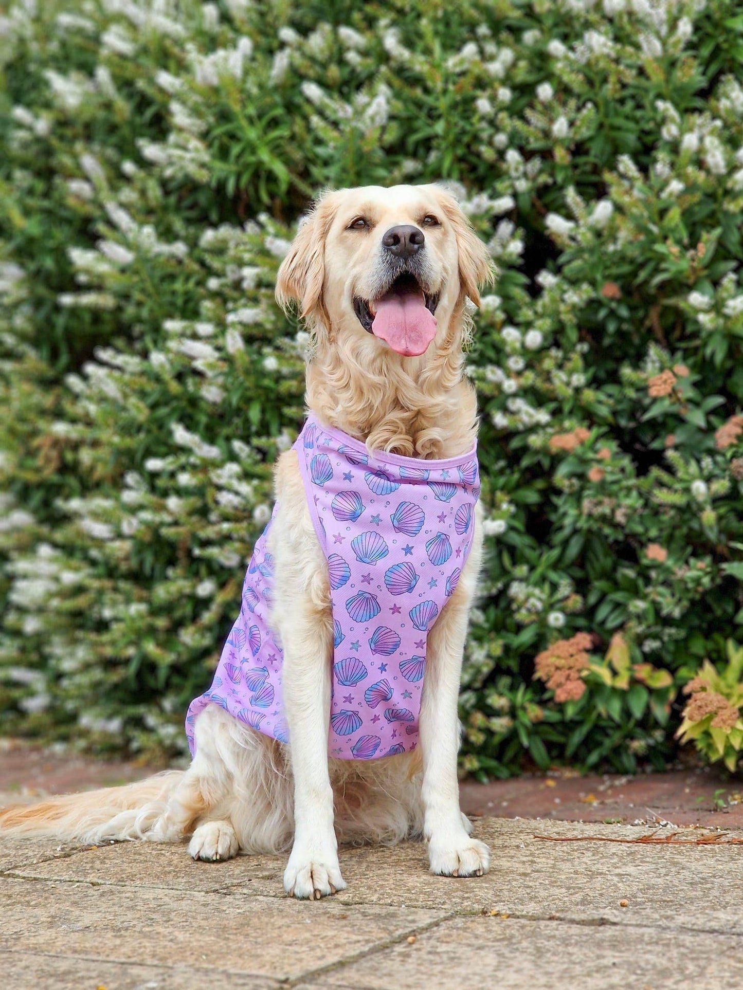 The Paw Print Boutique - The Mermaids Tails Cooling Vest