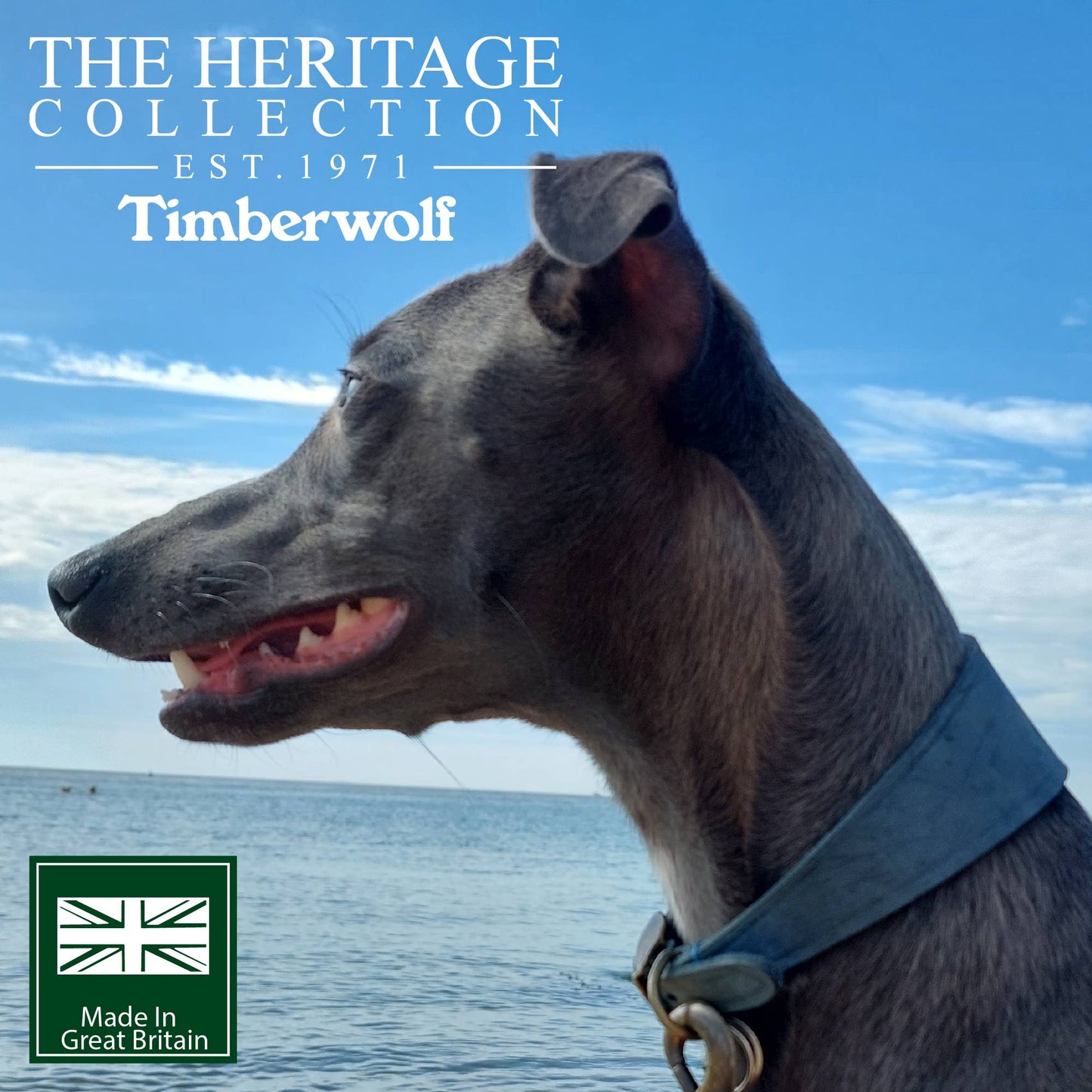 Ancol Pet Products Ltd - Timberwolf Hound Collar ( Size 34-43cm)