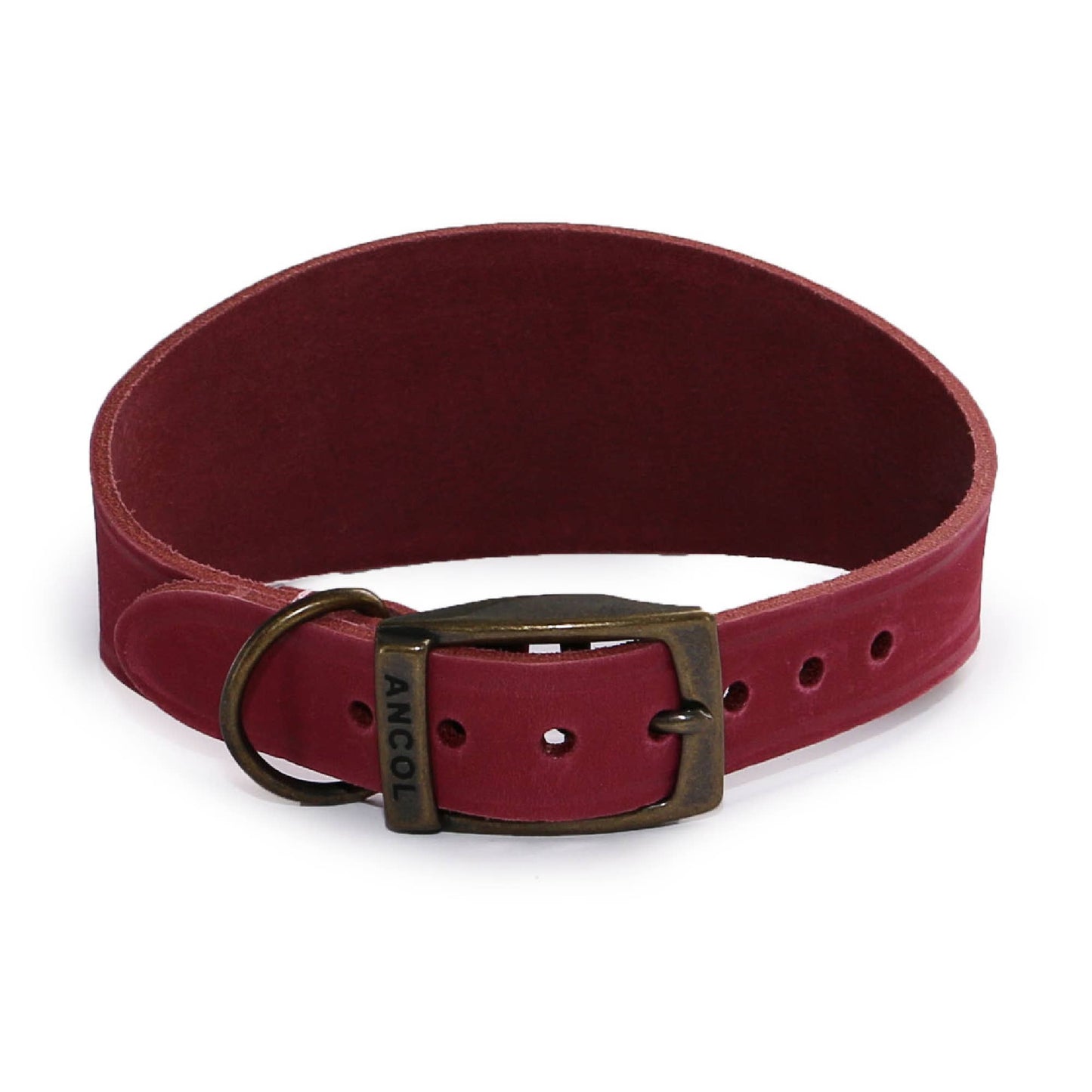 Ancol Pet Products Ltd - Timberwolf Hound Collar ( Size 34-43cm)