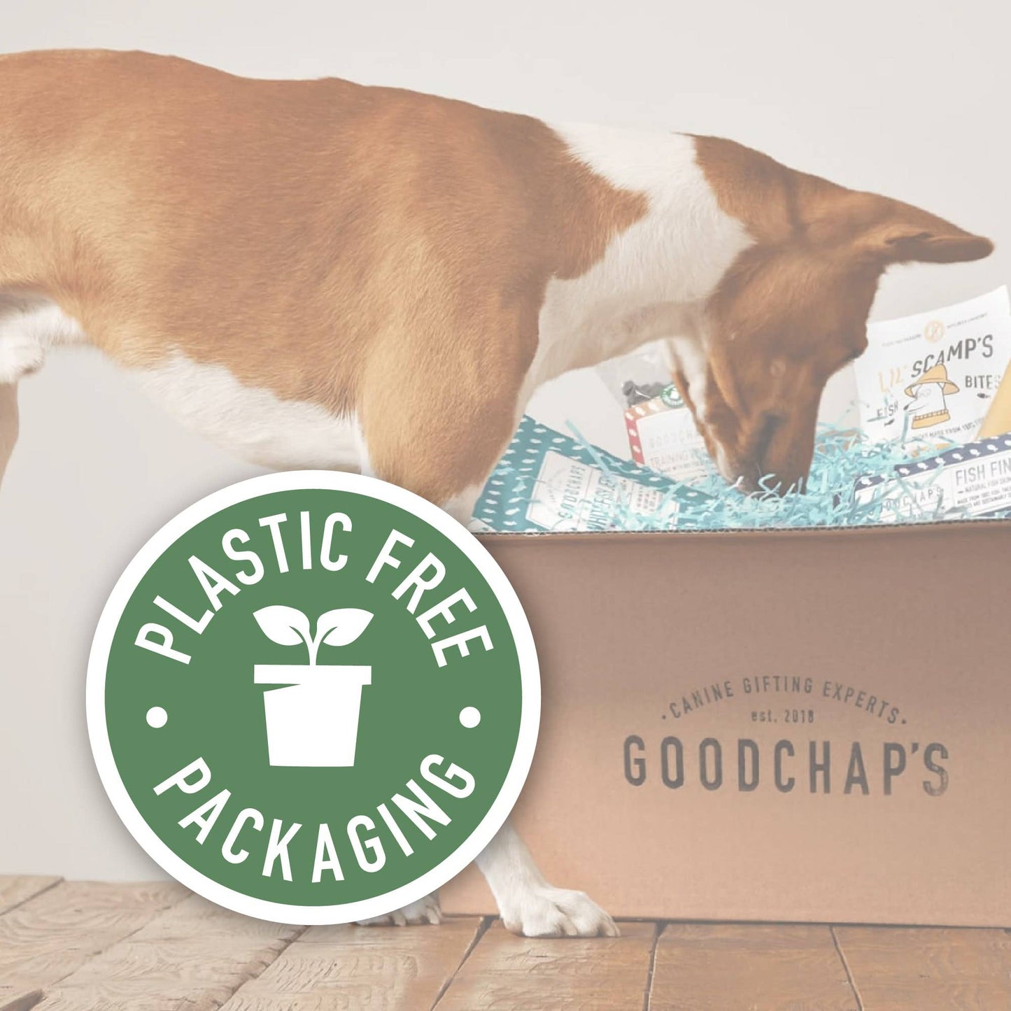 Doggy Bag | Natural Dog Treats & Chews