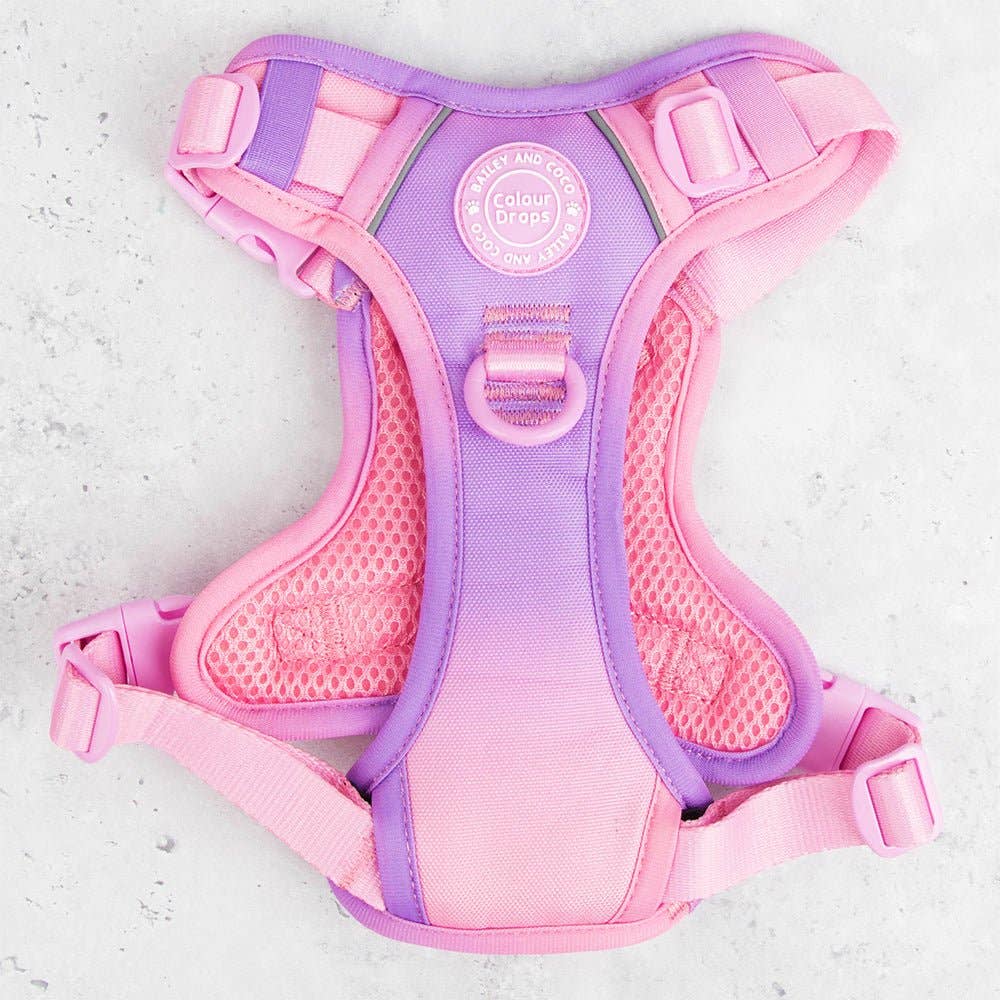 Bailey and Coco - Trail & Glow Dog Harness - COLOUR DROPS® - Love that for you