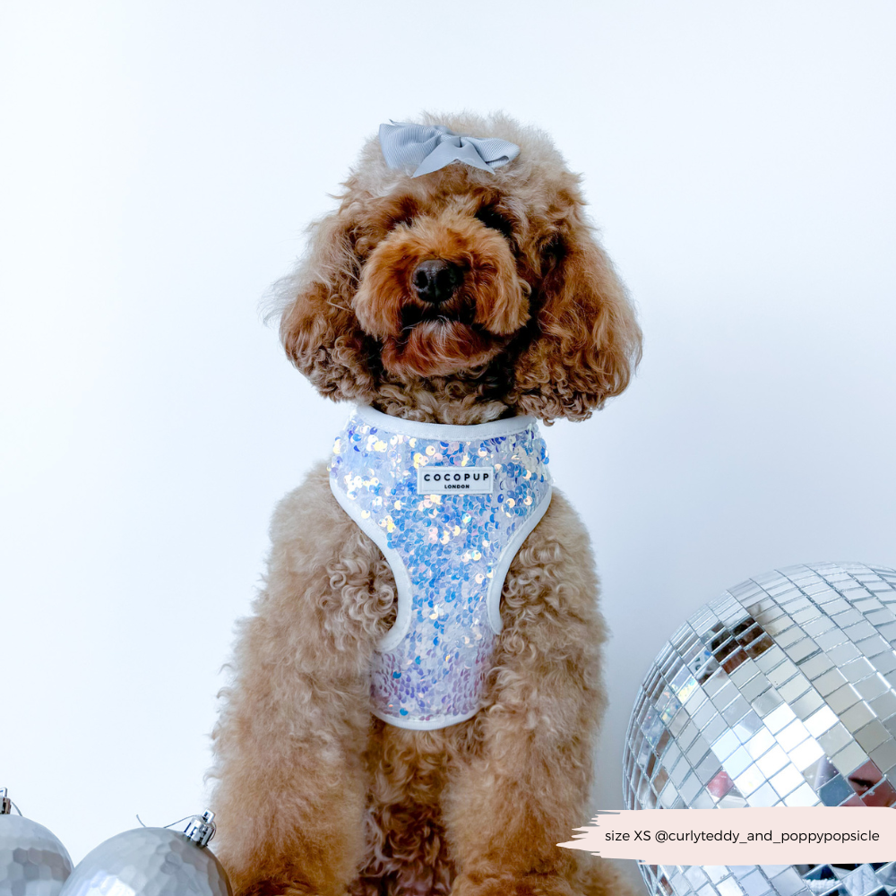 Cocopup London - LUXE Party Holographic Sequin HARNESS