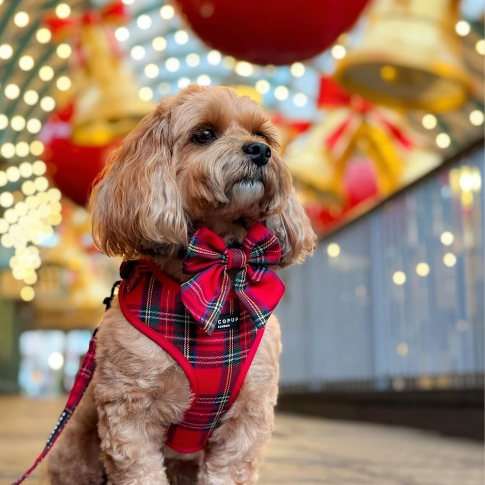 Cocopup London - Tartan Sailor Bow Tie